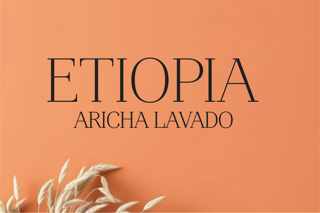 CAFE ETIOPIA ARICHA G1 LAVADO