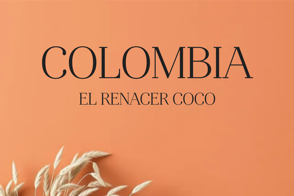 CAFE COLOMBA EL RENACER COCO (Grano)