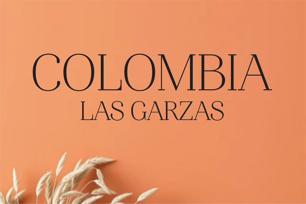 CAFE COLOMBIA LAS GARZAS (Grano, 250g., Tueste Medio (siempre disponible))