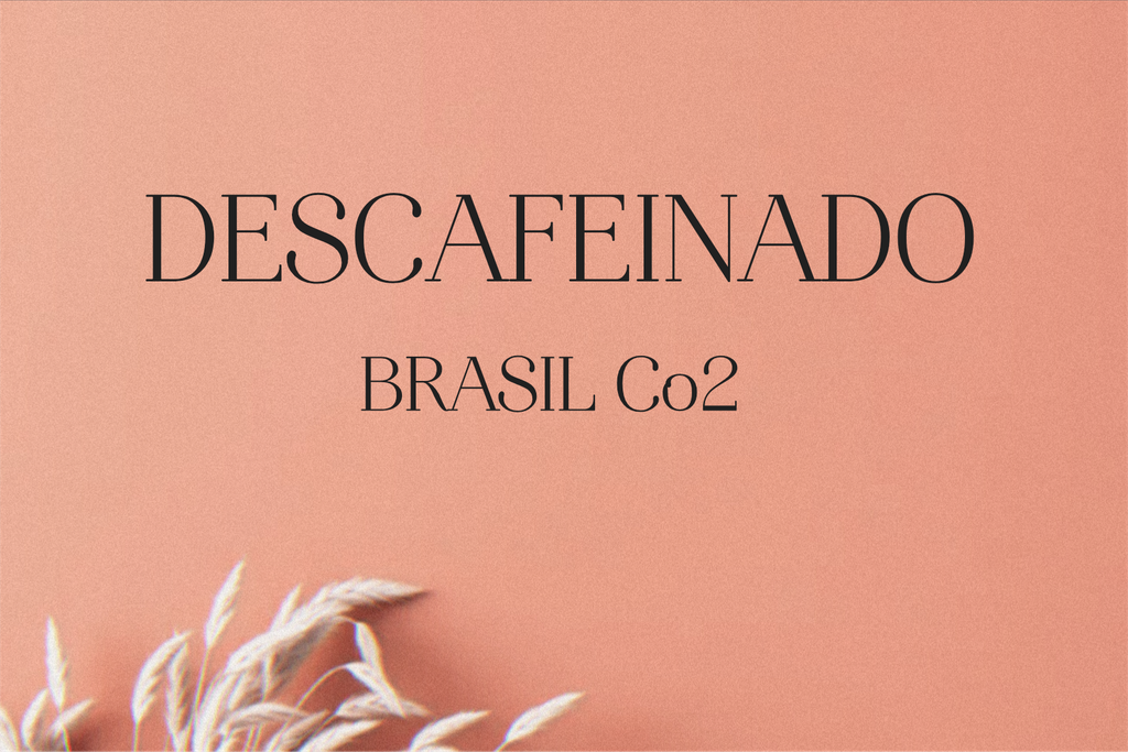 CAFE DESCAFEINADO BRASIL TURQUESA NATURAL CO2 (Grano, 250g., Tueste Medio (siempre disponible))