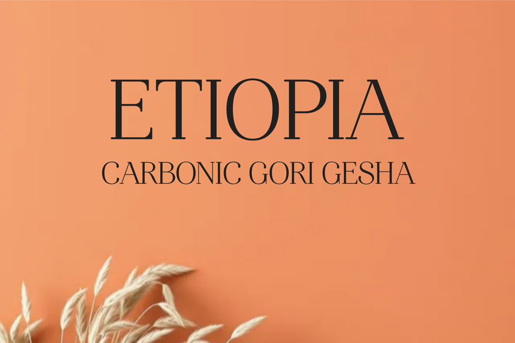 CAFE ETIOPIA CARBONIC GORI GESHA