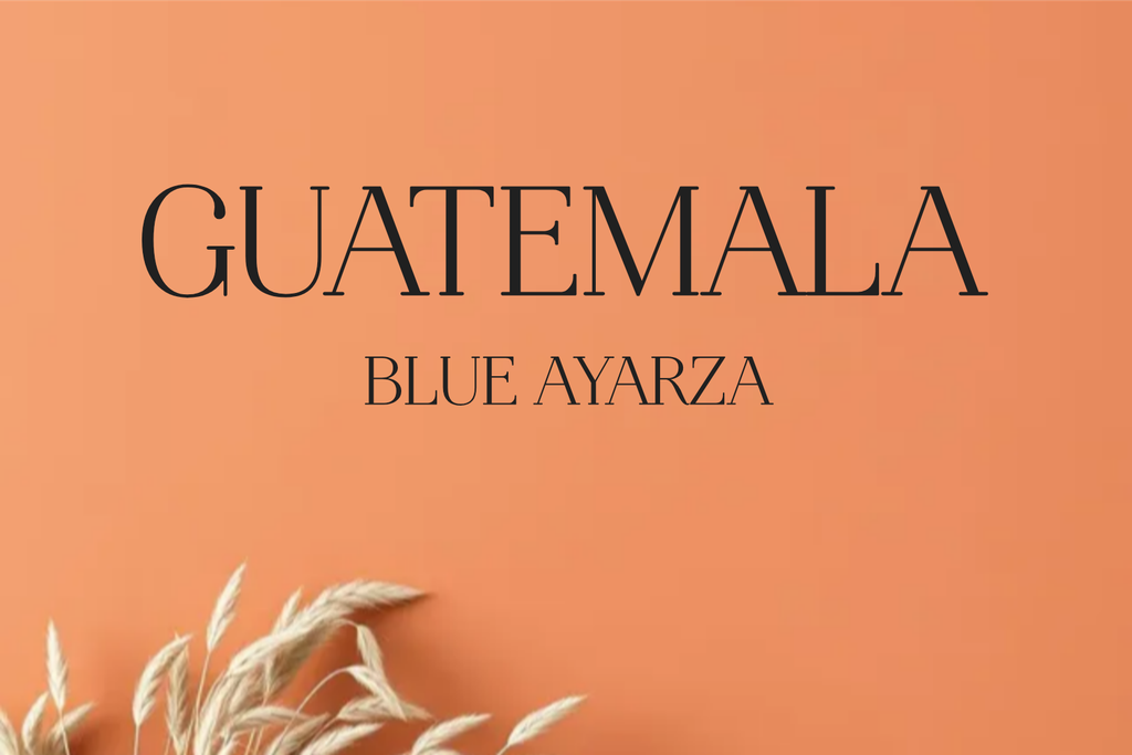 CAFE GUATEMALA BLUE AYARZA ANAEROBIC (Grano, 250g., Tueste Medio (siempre disponible))
