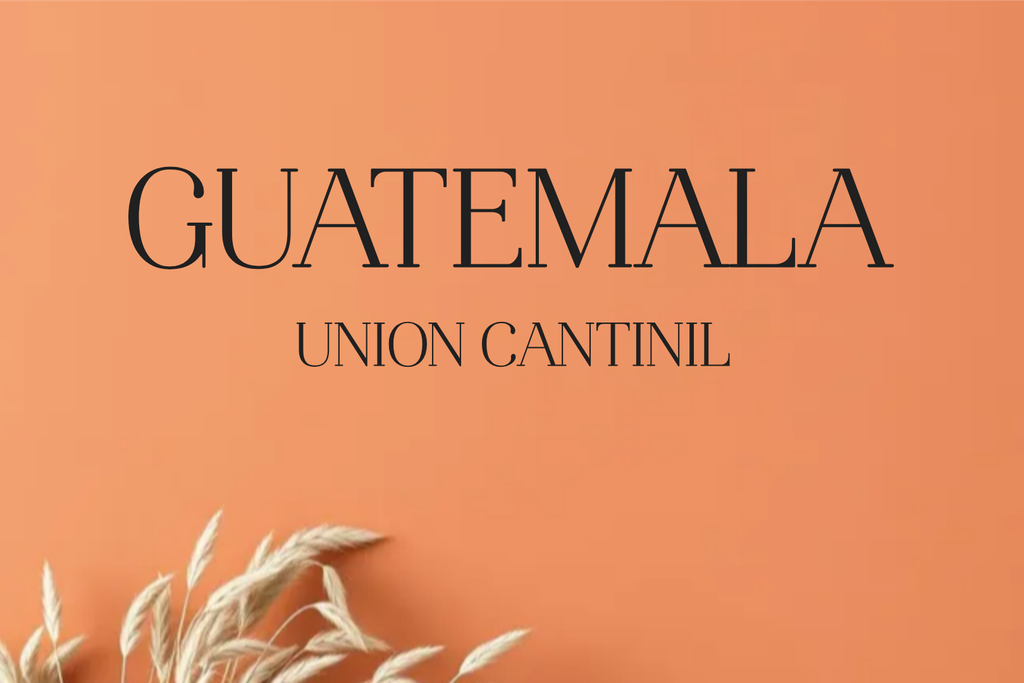 CAFE GUATEMALA UNION CANTINIL (Grano, 250g., Tueste Medio (siempre disponible))