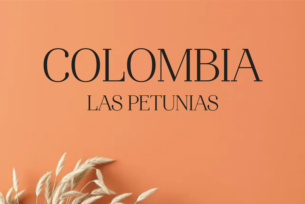 CAFE COLOMBIA LAS PETUNIAS (Grano, 250g., Tueste Medio (siempre disponible))