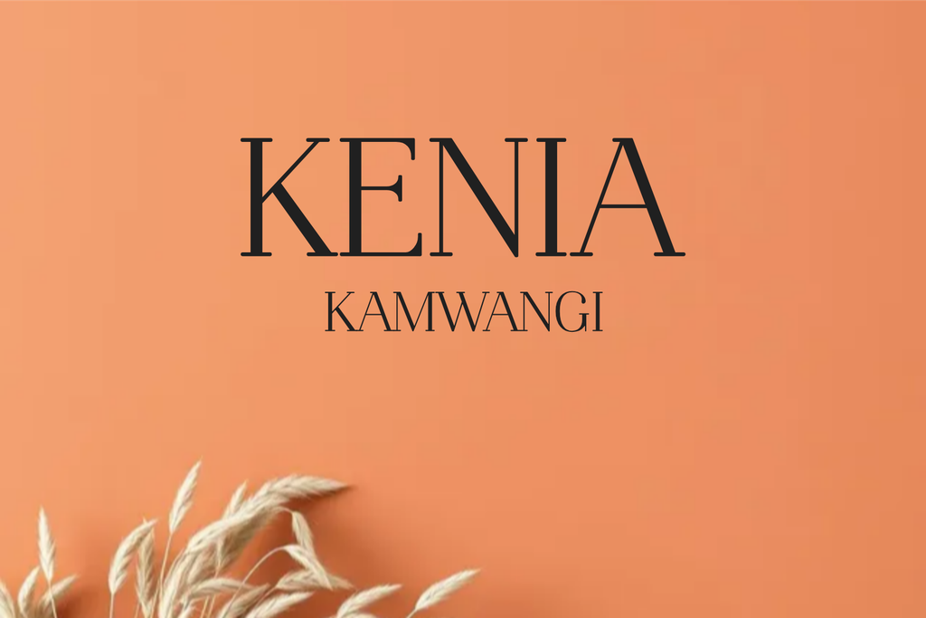 CAFE KENIA KAMWANGI AA