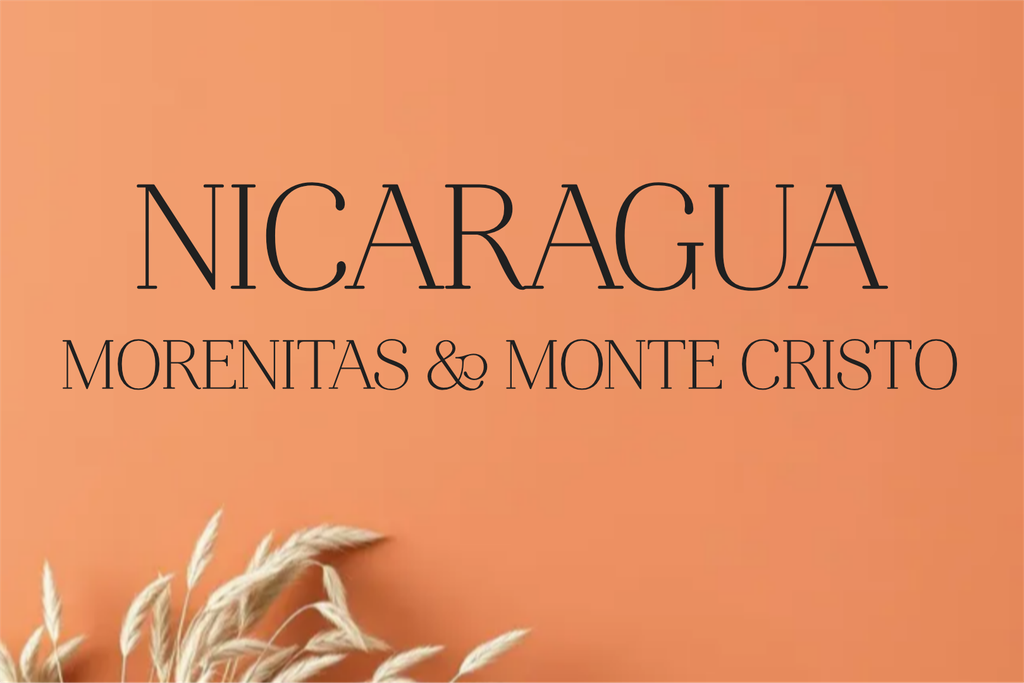 CAFE NICARAGUA LAS MORENITAS