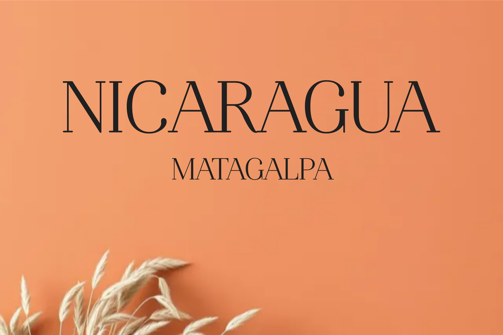 CAFE NICARAGUA MATAGALPA
