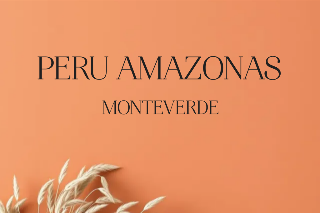 CAFE PERU AMAZONAS MONTE VERDE