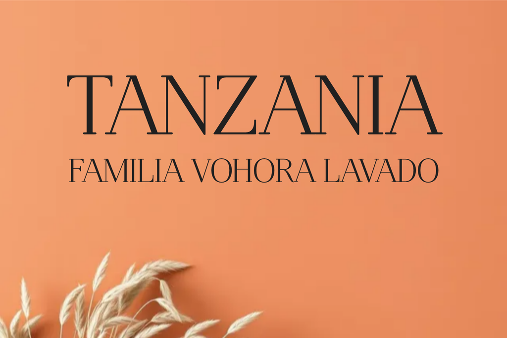 CAFE TANZANIA LAVADO NYOTA