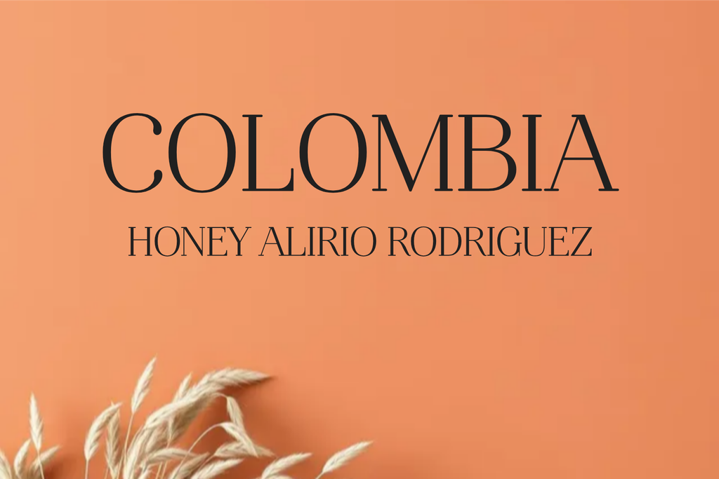 CAFE COLOMBIA HONEY (Grano, 250g., Tueste Medio (siempre disponible))