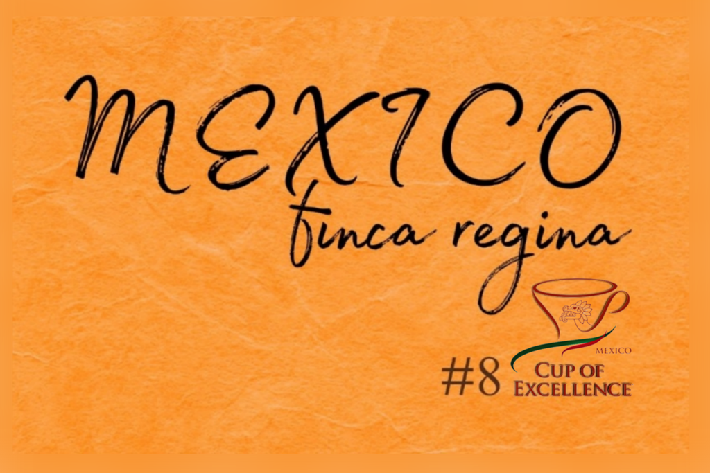 CAFE MEXICO FINCA REGINA (Grano)
